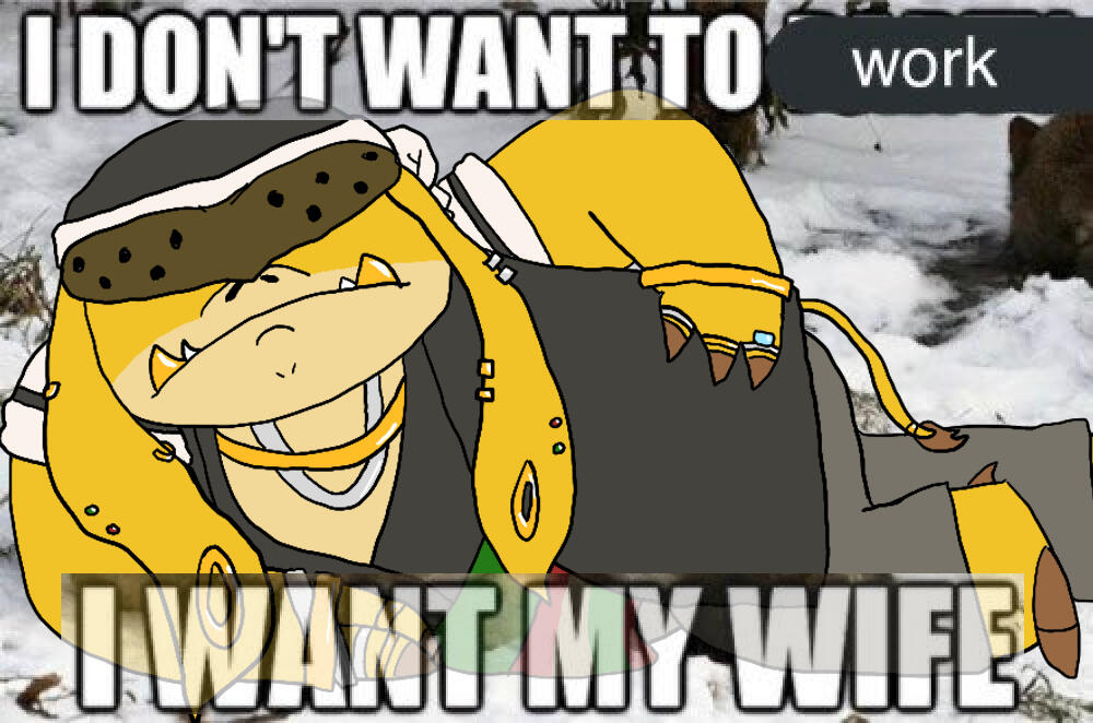 Sagil posing on his side, frowning. "I DON'T WANT TO [WORK]" "I WANT MY WIFE" in Impact font framing him on top and bottom.